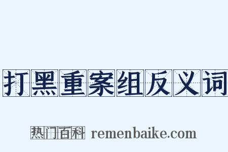 打黑重案组反义词是什么意思的图片